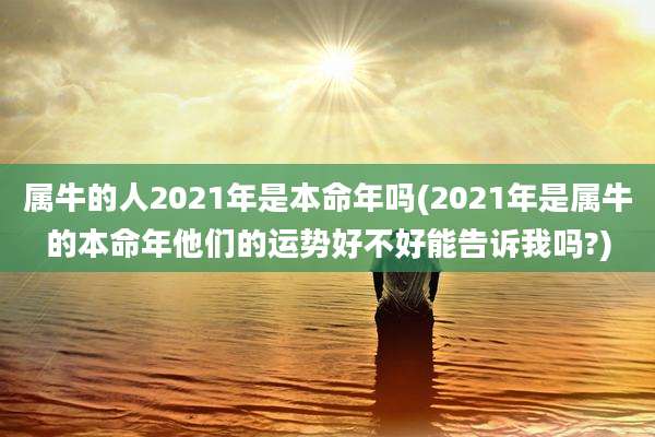 属牛的人2021年是本命年吗(2021年是属牛的本命年他们的运势好不好能告诉我吗?)