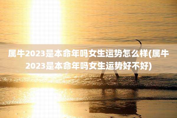 属牛2023是本命年吗女生运势怎么样(属牛2023是本命年吗女生运势好不好)