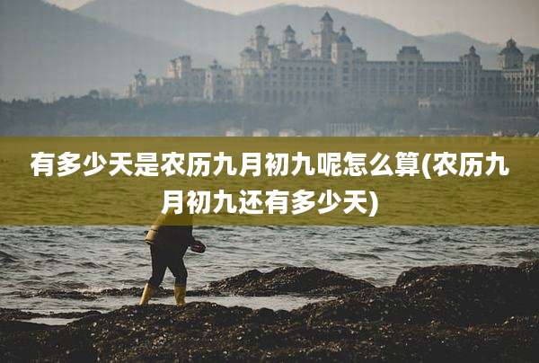 有多少天是农历九月初九呢怎么算(农历九月初九还有多少天)