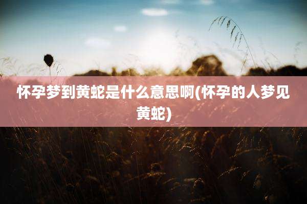 怀孕梦到黄蛇是什么意思啊(怀孕的人梦见黄蛇)