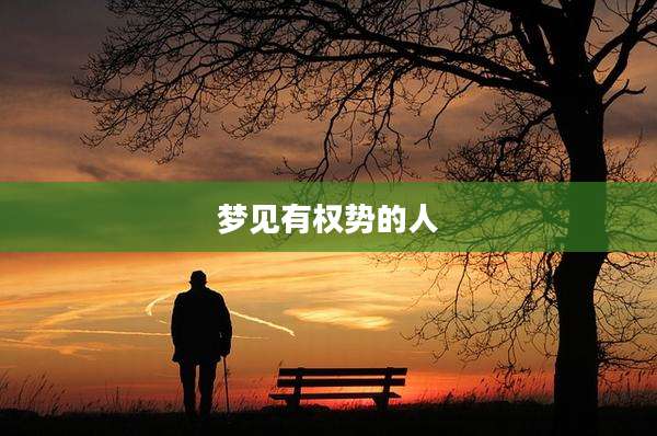 梦见有权势的人