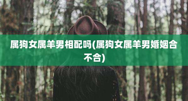 属狗女属羊男相配吗(属狗女属羊男婚姻合不合)