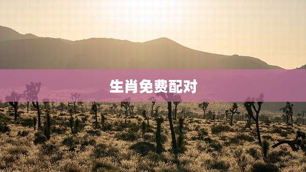 生肖免费配对