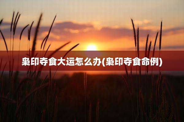 枭印夺食大运怎么办(枭印夺食命例)