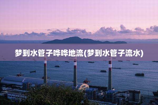 梦到水管子哗哗地流(梦到水管子流水)