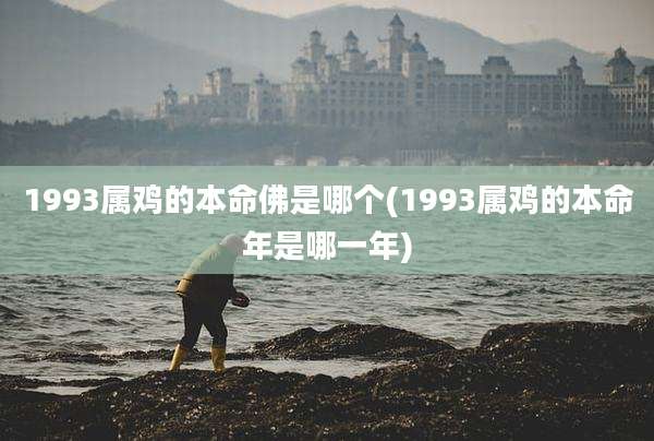1993属鸡的本命佛是哪个(1993属鸡的本命年是哪一年)