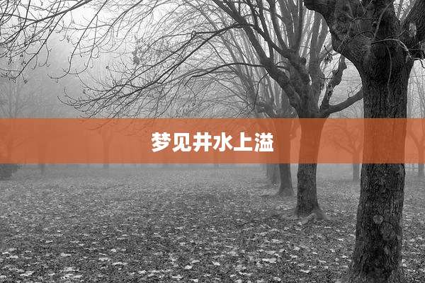 梦见井水上溢