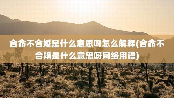 合命不合婚是什么意思呀怎么解释(合命不合婚是什么意思呀网络用语)