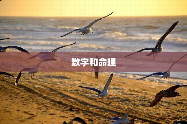 数字和命理