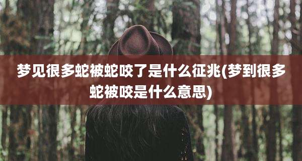 梦见很多蛇被蛇咬了是什么征兆(梦到很多蛇被咬是什么意思)