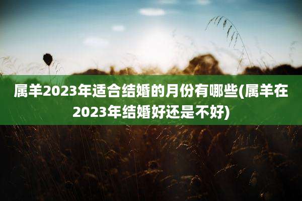 属羊2023年适合结婚的月份有哪些(属羊在2023年结婚好还是不好)