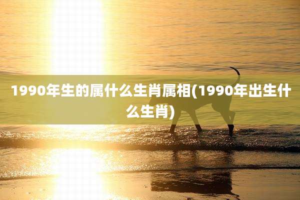 1990年生的属什么生肖属相(1990年出生什么生肖)
