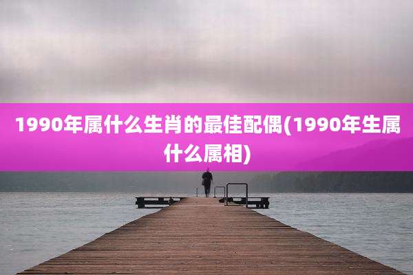 1990年属什么生肖的最佳配偶(1990年生属什么属相)