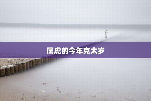 属虎的今年克太岁
