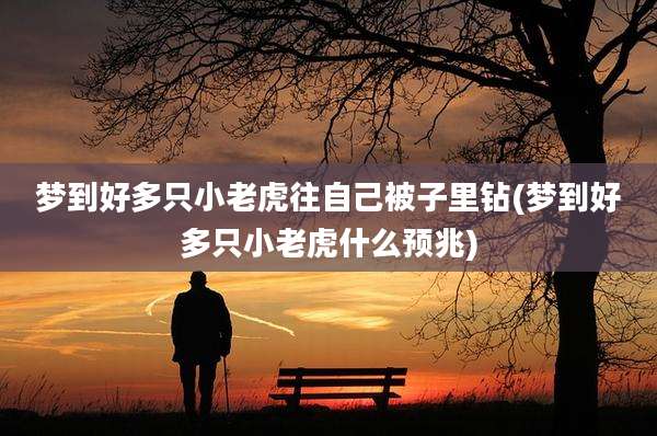 梦到好多只小老虎往自己被子里钻(梦到好多只小老虎什么预兆)