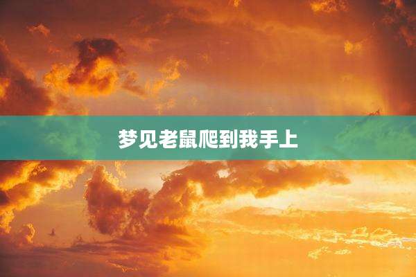 梦见老鼠爬到我手上