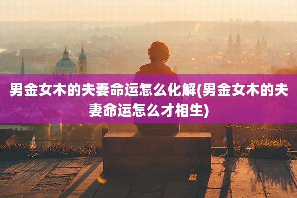 男金女木的夫妻命运怎么化解(男金女木的夫妻命运怎么才相生)