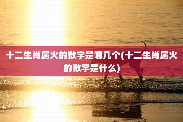 十二生肖属火的数字是哪几个(十二生肖属火的数字是什么)