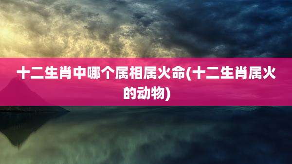 十二生肖中哪个属相属火命(十二生肖属火的动物)
