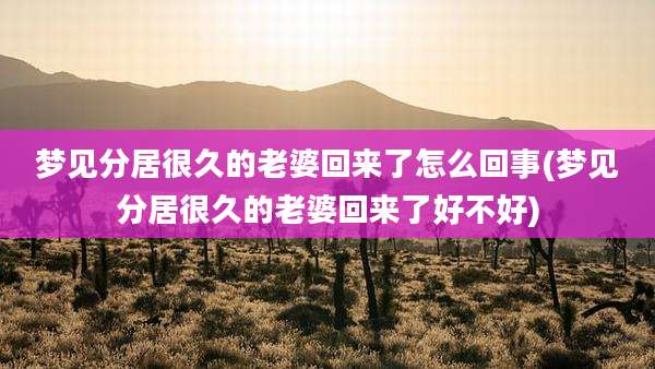 梦见分居很久的老婆回来了怎么回事(梦见分居很久的老婆回来了好不好)