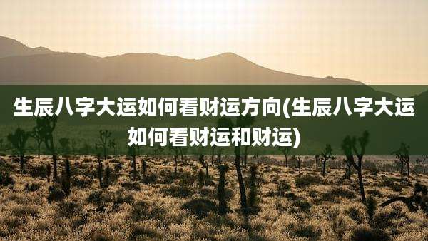 生辰八字大运如何看财运方向(生辰八字大运如何看财运和财运)