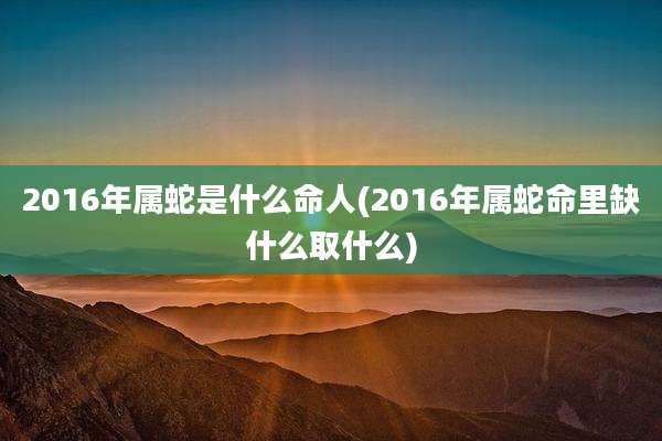2016年属蛇是什么命人(2016年属蛇命里缺什么取什么)