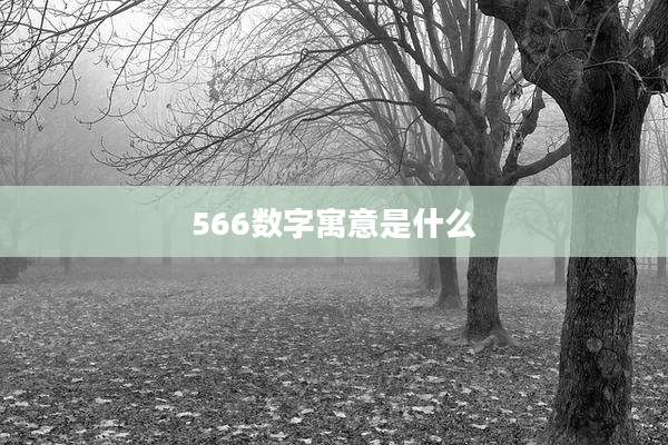 566数字寓意是什么