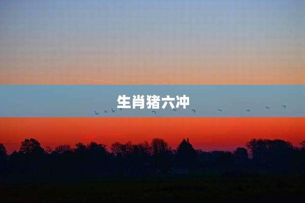 生肖猪六冲