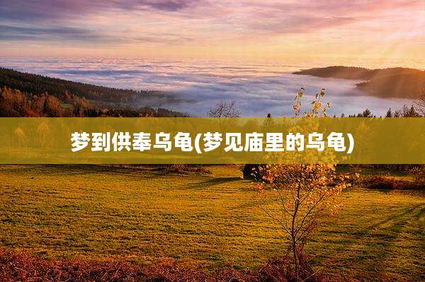 梦到供奉乌龟(梦见庙里的乌龟)