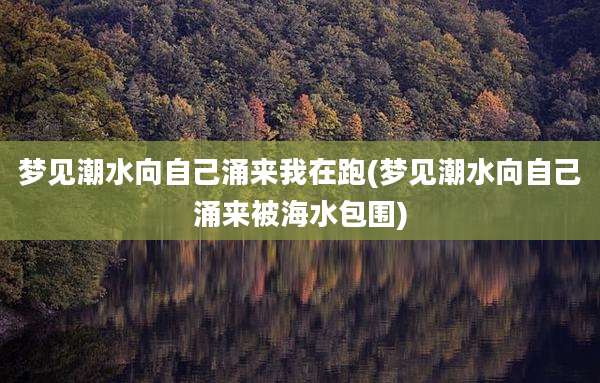 梦见潮水向自己涌来我在跑(梦见潮水向自己涌来被海水包围)