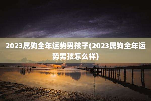 2023属狗全年运势男孩子(2023属狗全年运势男孩怎么样)