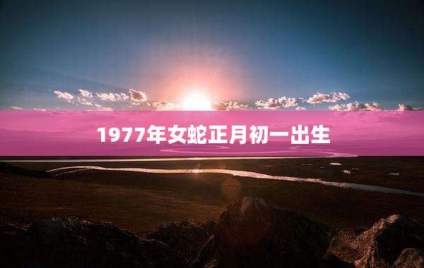 1977年女蛇正月初一出生