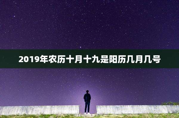 2019年农历十月十九是阳历几月几号