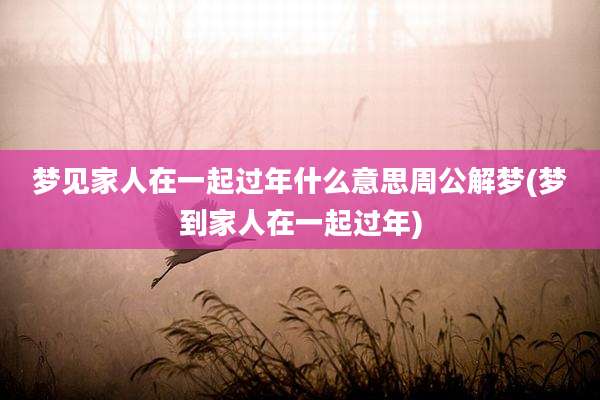 梦见家人在一起过年什么意思周公解梦(梦到家人在一起过年)