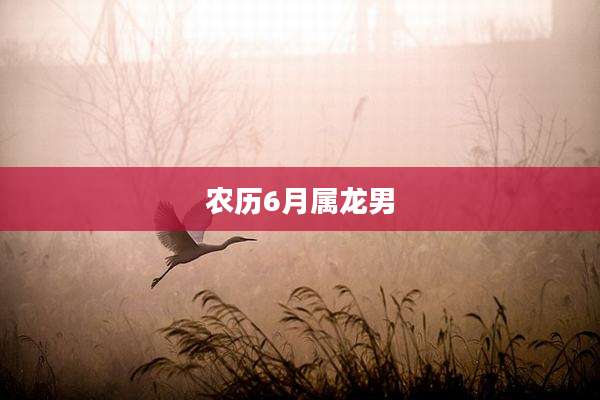 农历6月属龙男