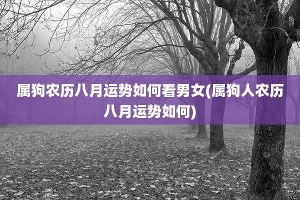 属狗农历八月运势如何看男女(属狗人农历八月运势如何)