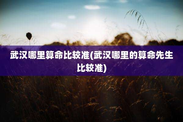 武汉哪里算命比较准(武汉哪里的算命先生比较准)