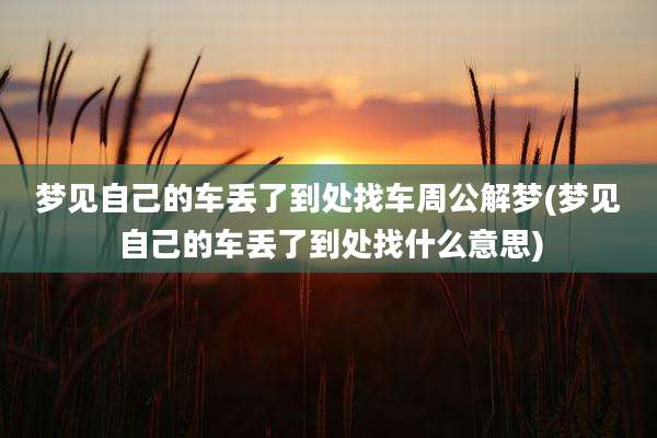 梦见自己的车丢了到处找车周公解梦(梦见自己的车丢了到处找什么意思)