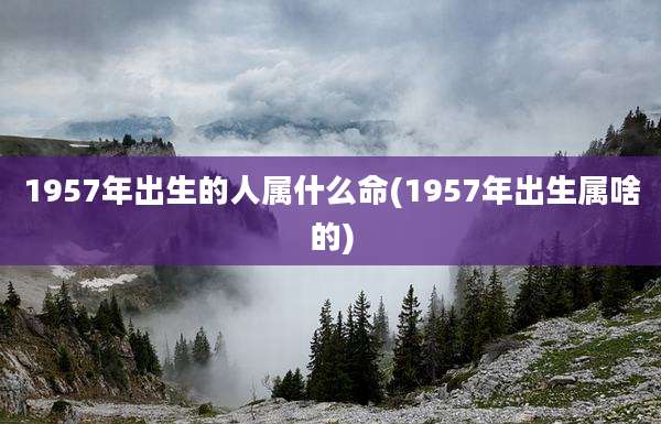 1957年出生的人属什么命(1957年出生属啥的)