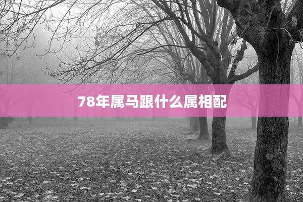78年属马跟什么属相配