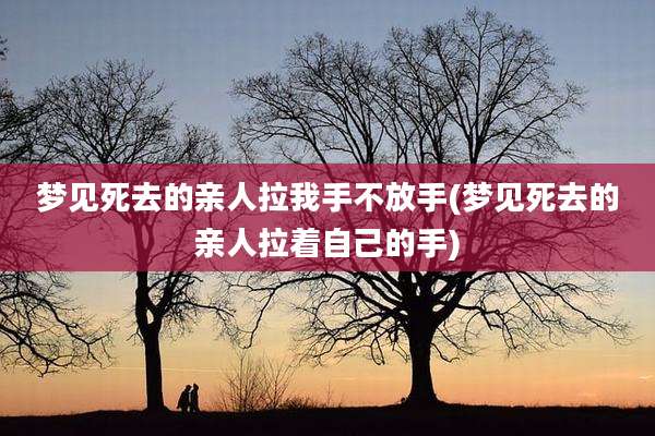 梦见死去的亲人拉我手不放手(梦见死去的亲人拉着自己的手)
