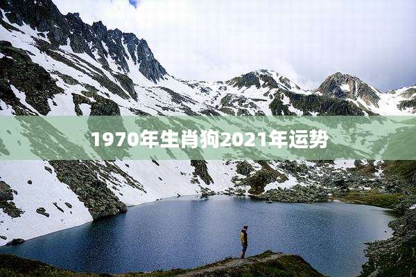 1970年生肖狗2021年运势