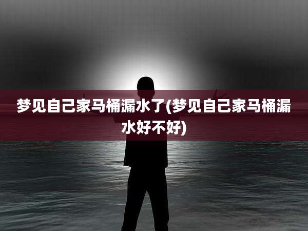 梦见自己家马桶漏水了(梦见自己家马桶漏水好不好)