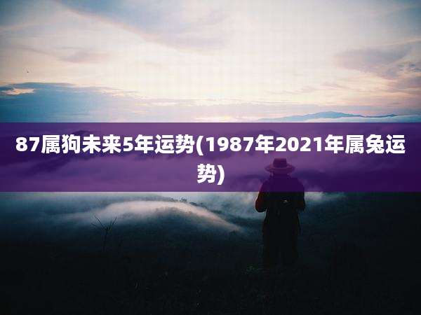 87属狗未来5年运势(1987年2021年属兔运势)