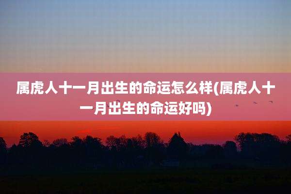 属虎人十一月出生的命运怎么样(属虎人十一月出生的命运好吗)