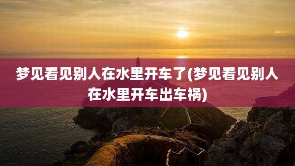 梦见看见别人在水里开车了(梦见看见别人在水里开车出车祸)