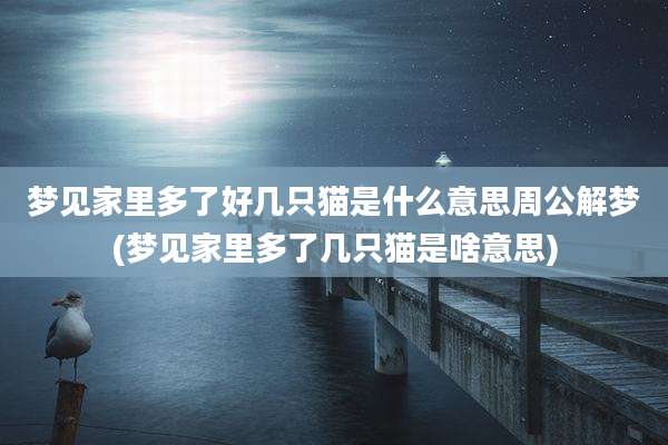 梦见家里多了好几只猫是什么意思周公解梦(梦见家里多了几只猫是啥意思)