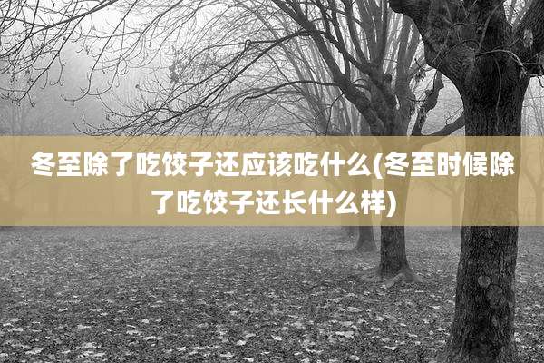 冬至除了吃饺子还应该吃什么(冬至时候除了吃饺子还长什么样)