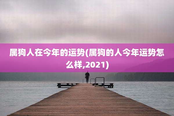 属狗人在今年的运势(属狗的人今年运势怎么样,2021)