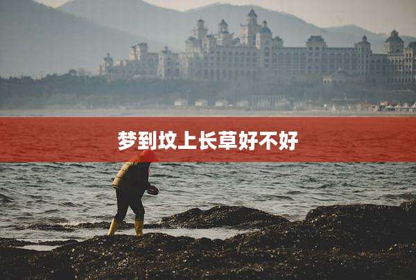 梦到坟上长草好不好